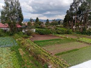 Casa de 5 habitaciones Sector Ordoñez Lasso