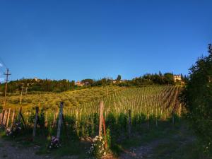 Pretty farmhouse with terrace