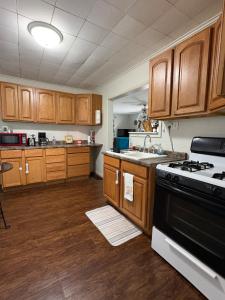 Doug and Cindys Bears Den