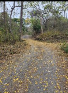 Rancho Rustico los Cocobolos