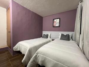 Alojamiento Artemisa