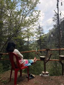 Alpine heaven forest view cottage jibhi,