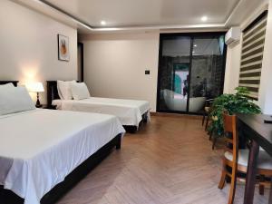 Catba Garden Camellia