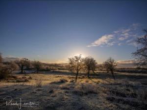 Charming Garden Retreat