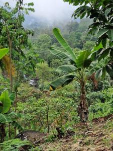 Landhaus Casa Mielavida