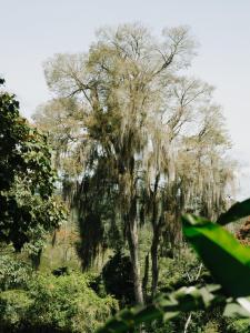 Landhaus Casa Mielavida