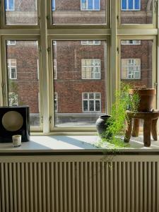 Classic Flat Near Frederiksberg Gardens