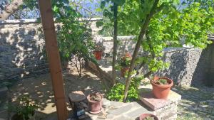 Arpet guesthouse