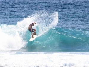 yamba pacifico