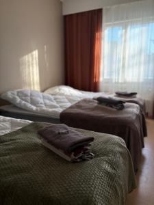 Guesthouse Terkkari