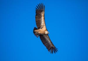 S'Incantu - exclusive apartment img45