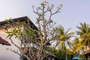 Ancient Retreat Hoi An - Riverfront Resort