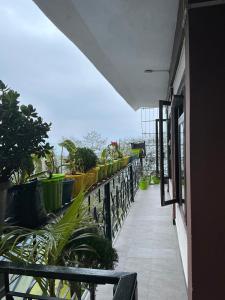 Mountain View Hill Side Homestay Kalimpong, Between Silk Route - Deolo Park - Ramdhura