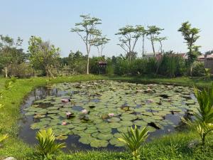 Misty Garden Homestay Retreat