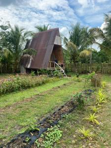 Kubo Ni Cesar