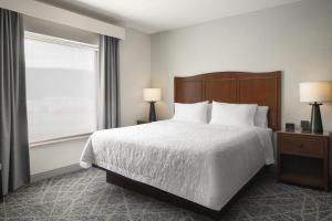 Hampton Inn ElmiraHorseheads