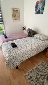 Appartement cosy jardin des plantes avec parking