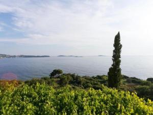 Villa Samba- Premium One-Bedroom Apartment with Balcony and Sea View