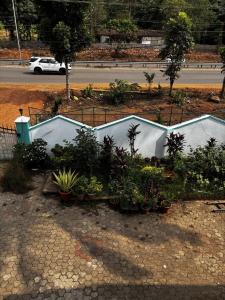 A Cozy Escape, Warm Lights & Quiet Nights