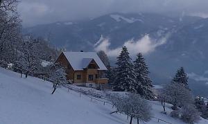 Ferienhaus Hochfelner