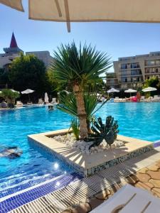 Grand Kamelia Family Hub and Pool View