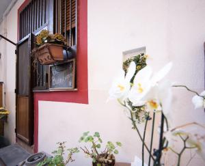 Room Capri in Villa La Tavernetta