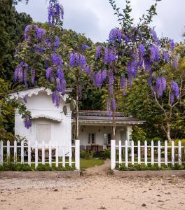 Hill House Haldummulla