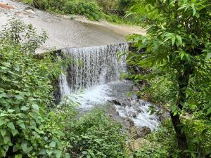 The Malang viha resort camps & cottages