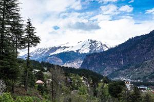 Peakaboo Manali