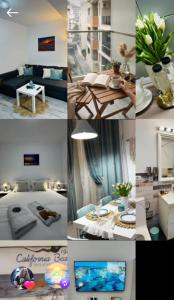 Sol Suite