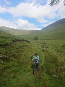 Galtee Glamping in wooden yurt