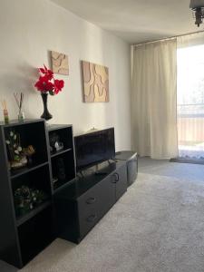 Apartament przy górce
