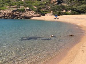 Rena MajoreHome, with parking img20