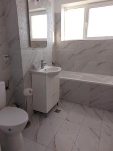 Romanescu Parc Apartment
