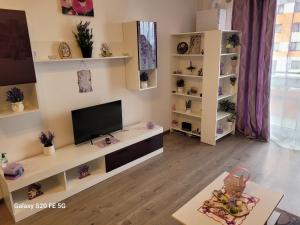 Casa cu lavanda