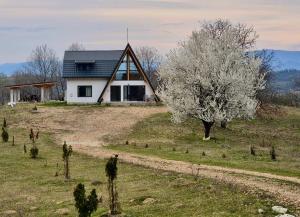 Cabana Forestia - ciubăr inclus