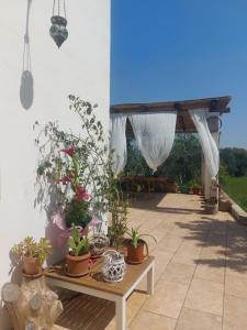 Physis b&b-a casa di Clio