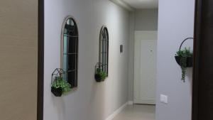 Apartment in Center of Tirana!
