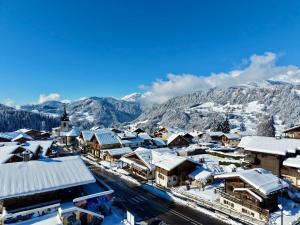 Chalet 8 pers, accès direct aux pistes, parking - FR-1-505-33