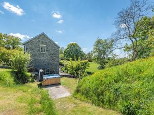 Dyffryn Glanffrwd Mill