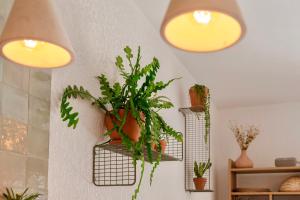 T2 Haut de gamme avec jardin privé - 50m du port Miramar