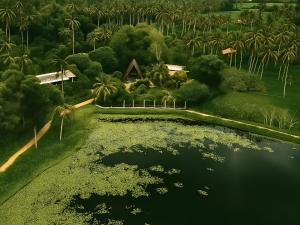Spacious 2 Bedroom Apartment with Lake View