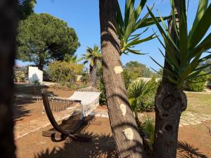 Villa Almandia, Capitolo, Monopoli
