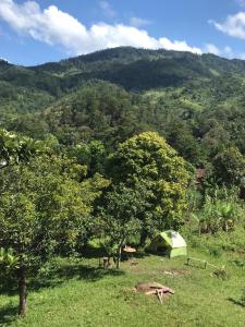 Minerva Garden Camping