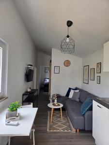 Studio Apartment Ceca***