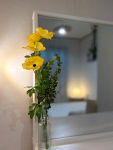 A Stay in Spring Cozy 2BR - KSPO, Lotte World, COEX