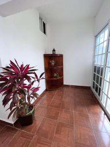 Departamento céntrico Tulum