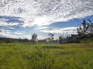 Saanjh Nature Retreat
