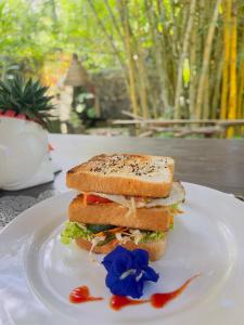 Moksha eco villa Ella