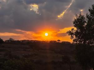Saanjh Nature Retreat